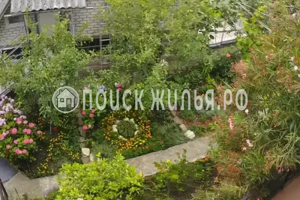 «Ольга+» «Ольга+»