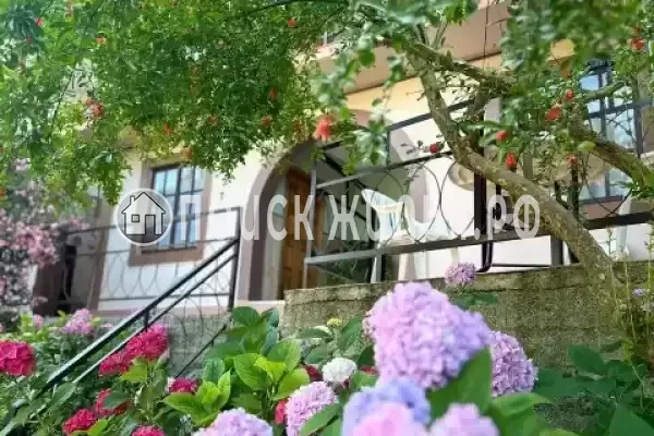 «Ольга+» «Ольга+»