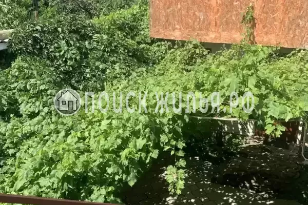 «На Октябрьском 2»