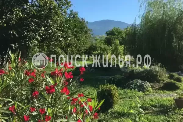 Гостиница «Святая Абхазия» Гостиница «Святая Абхазия»