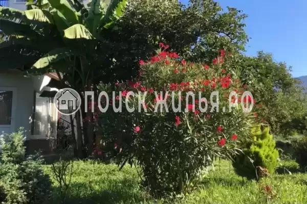 Гостиница «Святая Абхазия» Гостиница «Святая Абхазия»