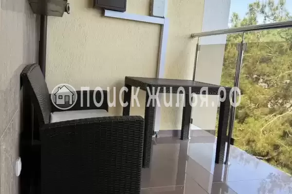 «Парус» «Парус»