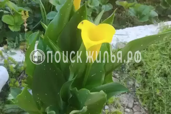 Дом под ключ «На Огородном» Дом под ключ «На Огородном»