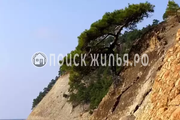 Апартаменты «Скала Парус»