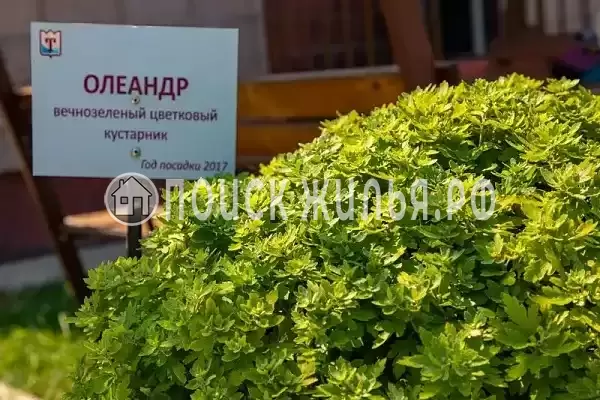 Частный сектор «Семейный таунхаус в морском стиле»