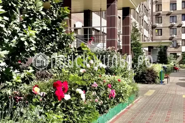 Квартира «Уютная однокомнатная квартира с видом на море» Квартира «Уютная однокомнатная квартира с видом на море»