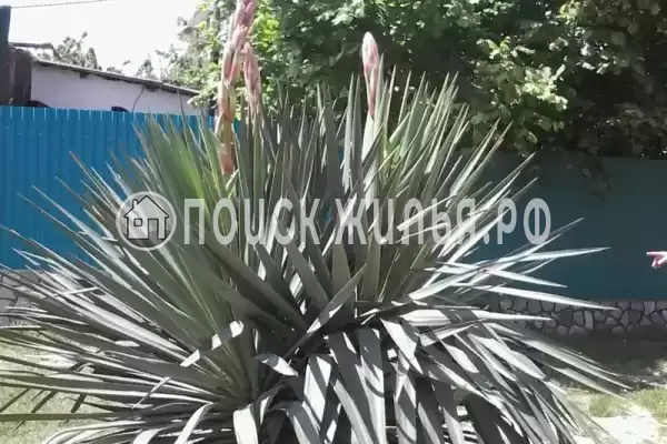 Квартира «Студия в частном доме» Квартира «Студия в частном доме»