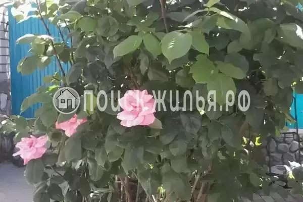 Квартира «Студия в частном доме» Квартира «Студия в частном доме»