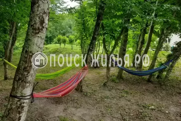 Частный сектор «Домик в лесу у моря»