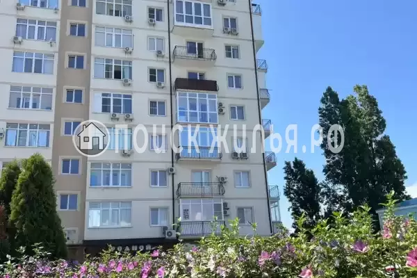 Квартира «Однокомнатная квартира на Толстом мысе»