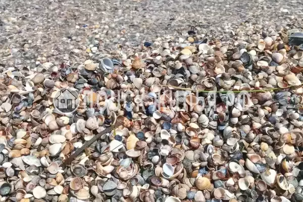 Дом под ключ «Дом под ключ»