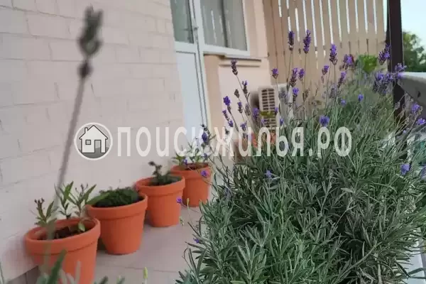 Дом под ключ «House Inn» Дом под ключ «House Inn»