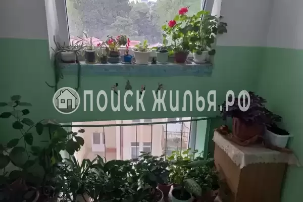 Частный сектор «Двухкомнатная в центре» Частный сектор «Двухкомнатная в центре»