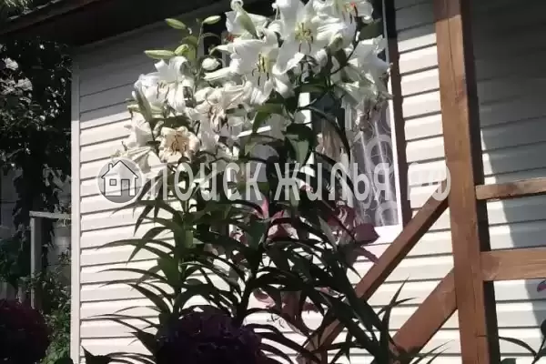 Дом под ключ «Бриз»