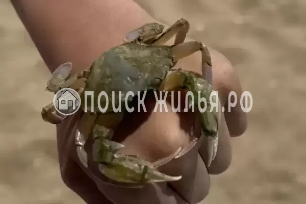 Частный сектор «Bungalo dali»