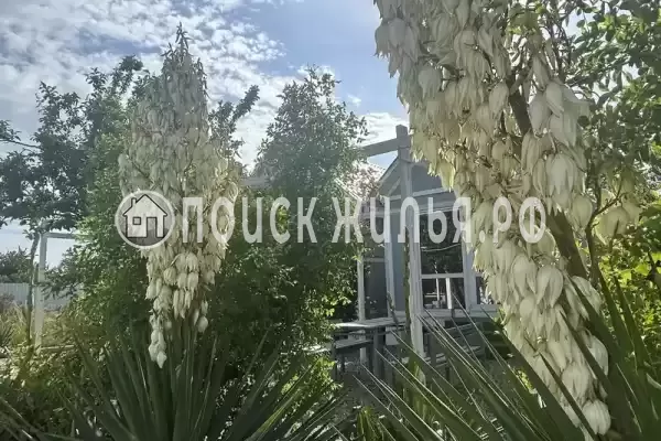 Частный сектор «Bungalo dali»