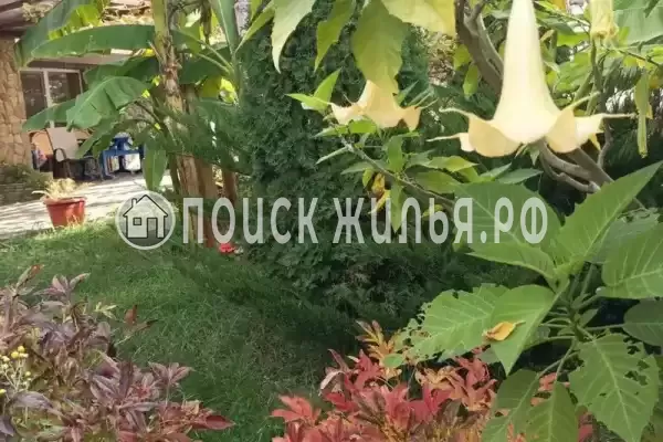 Дом под ключ «Фортуна»