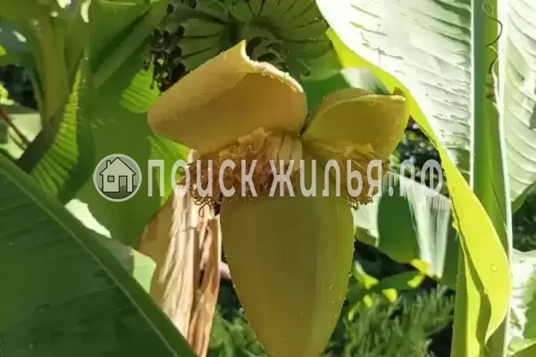 Дом под ключ «Фортуна»