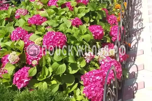 Частный сектор «Кетук»