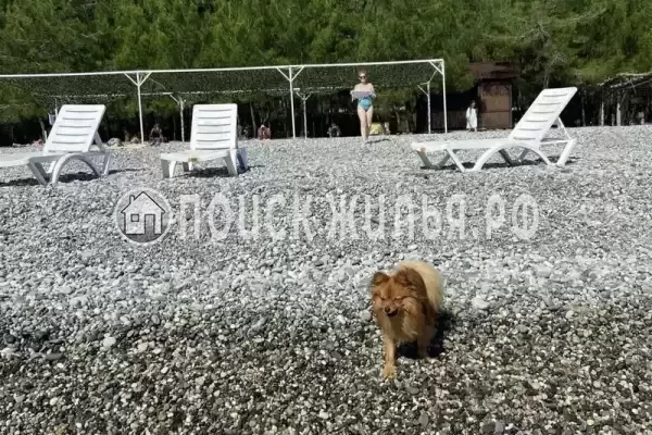 Частный сектор «Домик в Лдзаа» Частный сектор «Домик в Лдзаа»