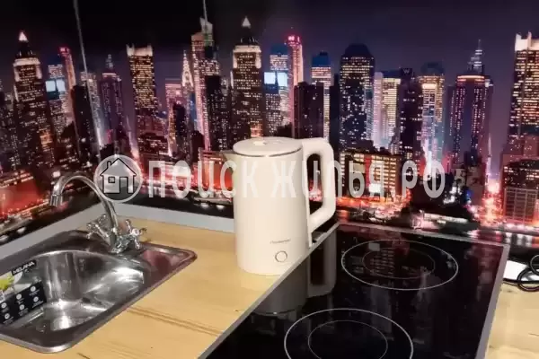 Квартира «Однокомнатная квартира-студия»