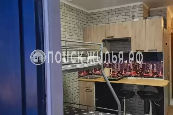 Квартира «Однокомнатная квартира-студия»