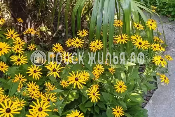 Дом под ключ «Домик под ключ» Дом под ключ «Домик под ключ»