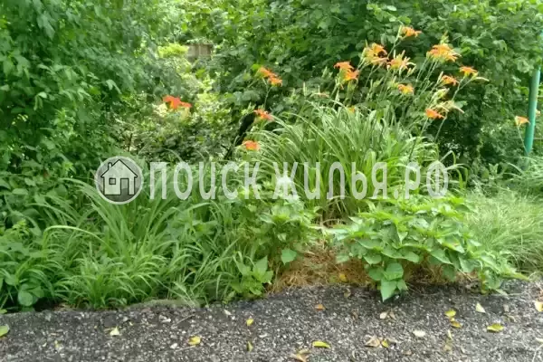 Дом под ключ «Лесной» Дом под ключ «Лесной»