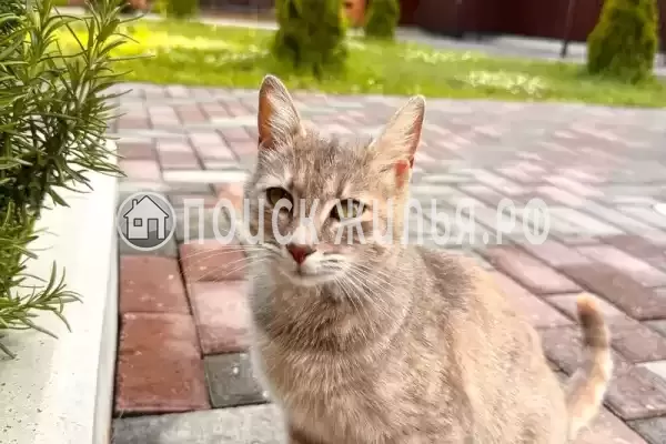 Дом под ключ «KIPARIS»