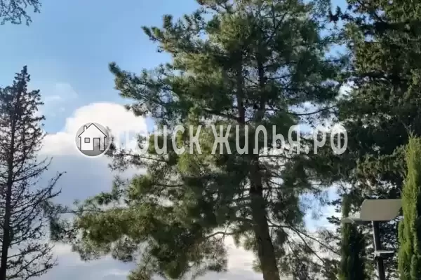 Апартаменты «Луч»