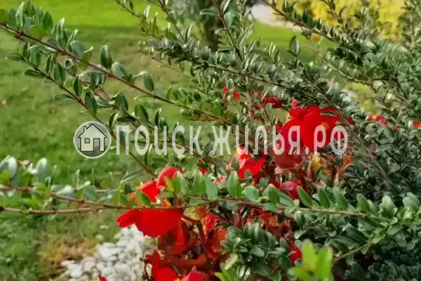 Апартаменты «Луч»