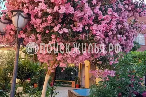 Частный сектор «Частный домик у самого моря»