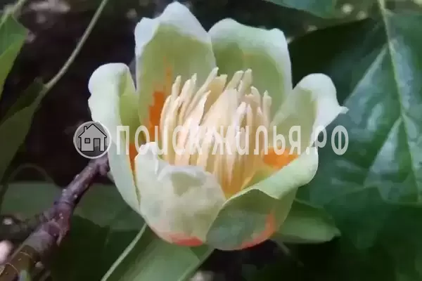 Частный сектор «Самара»