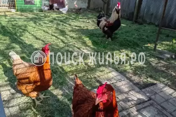 Дом под ключ «Светлана»