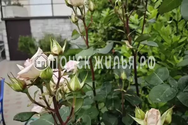 Квартира «Трехкомнатная квартира в Мысхако»