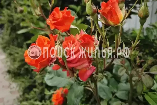 Квартира «Трехкомнатная квартира в Мысхако»