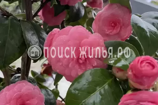 Дом под ключ «Отдых у Риты»