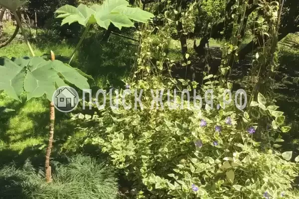 Дом под ключ «Отдых у Риты»