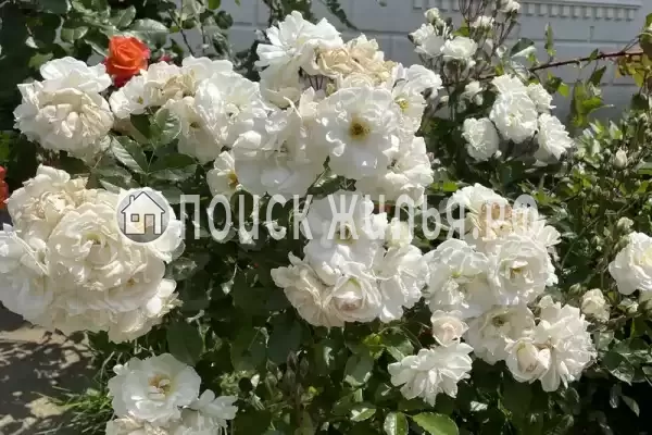 Дом под ключ «Отдых у Риты»