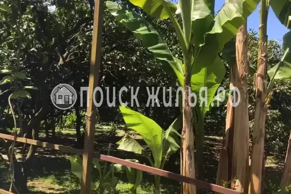 Дом под ключ «Отдых у Риты»