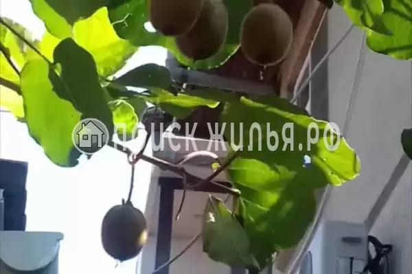 Квартира «На Демократической»