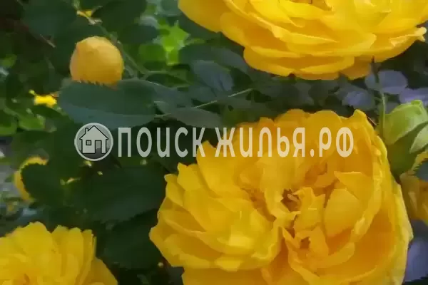 Дом под ключ «На Павлова»