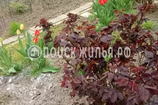 Дом под ключ «На Павлова»