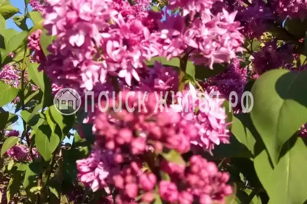 Дом под ключ «На Павлова»