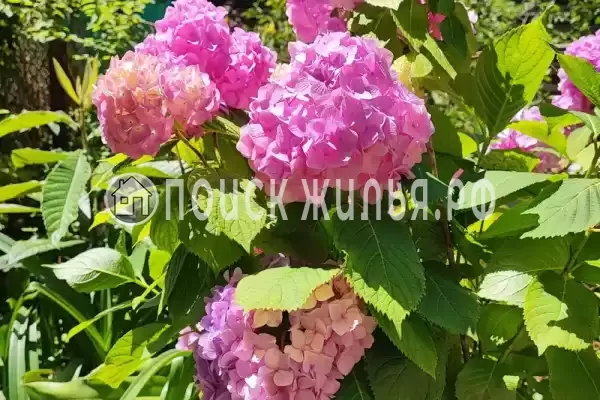 Частный сектор «Номер в частном доме с отдельным входом»