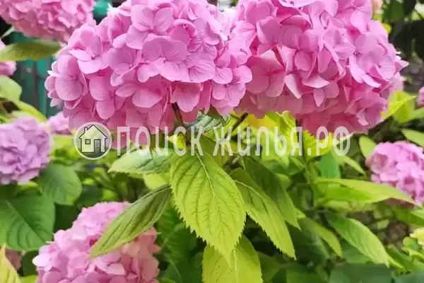 Частный сектор «Номер в частном доме с отдельным входом»