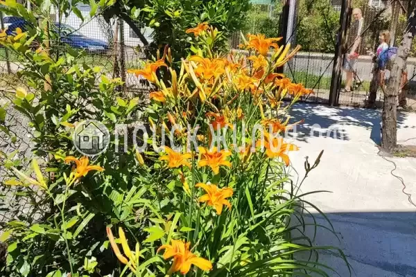 Частный сектор «Номер в частном доме с отдельным входом»