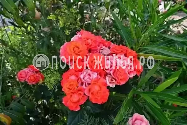 Дом под ключ «Жемчужина Асана» Дом под ключ «Жемчужина Асана»