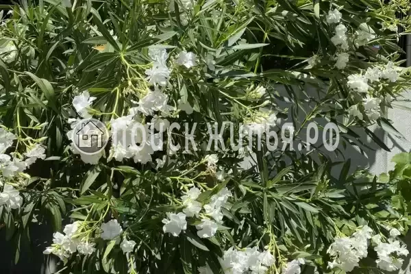 Частный сектор «Комната в частном доме у моря» Частный сектор «Комната в частном доме у моря»