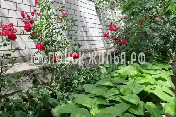 Дом под ключ «Дом под ключ» Дом под ключ «Дом под ключ»